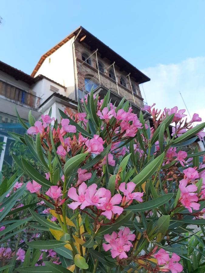 Le Case Di Angelina - Langhe Loft & Suites Farigliano Bagian luar foto